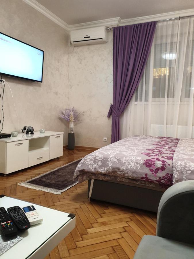 Appartamento Elena Lux Belgrado Esterno foto
